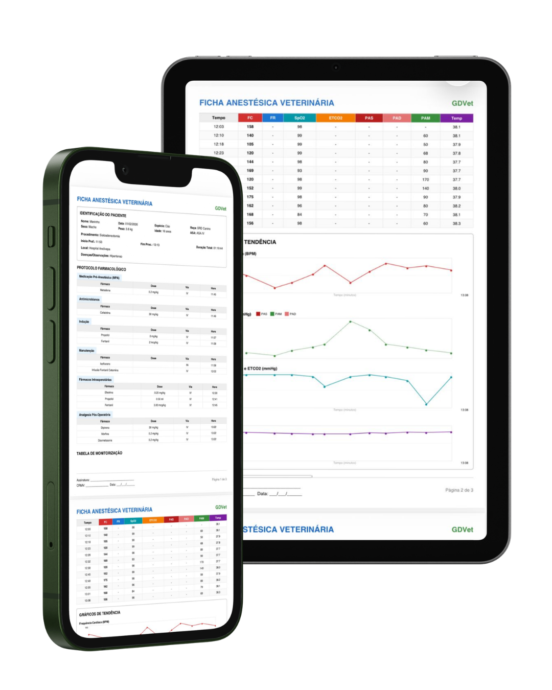 App GDVet mockup