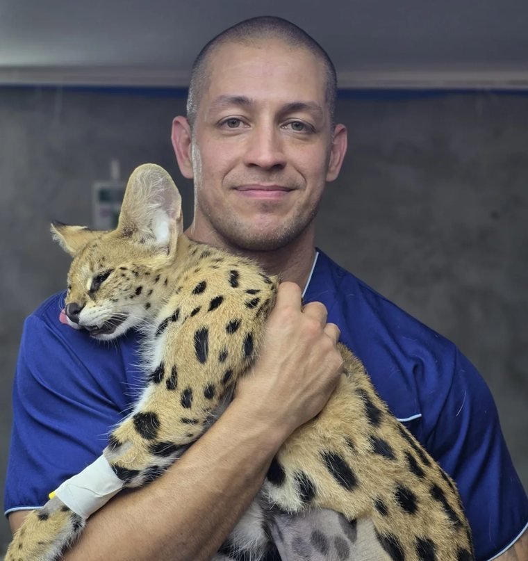 Prof. Mg. Thiago Wakoff, con pijama quirúrgico azul, sosteniendo un serval con vía venosa en el miembro torácico