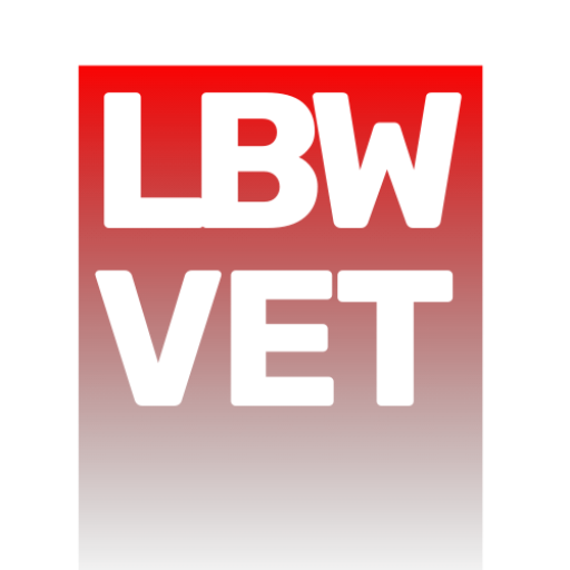 Cursos e mentoria em anestesiologia veterinária